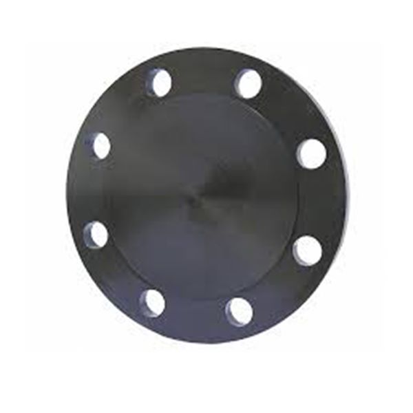 Iron Blind Flange \ Belad Almaa International Company - BeladAlmaa